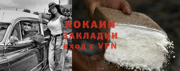 хмурый Белая Холуница