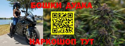 прущие грибы Донской