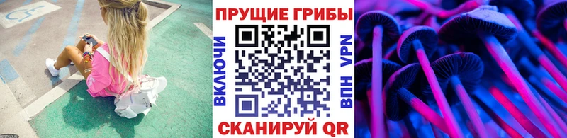 Псилоцибиновые грибы Cubensis  цена наркотик  Лысьва 